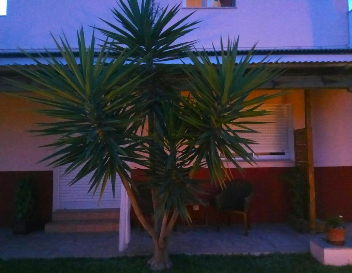 Casablanca El Petit Apartment Deltebre